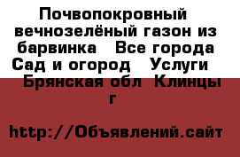 Почвопокровный, вечнозелёный газон из барвинка - Все города Сад и огород » Услуги   . Брянская обл.,Клинцы г.